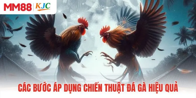 Các bước áp dụng chiến thuật đá gà hiệu quả