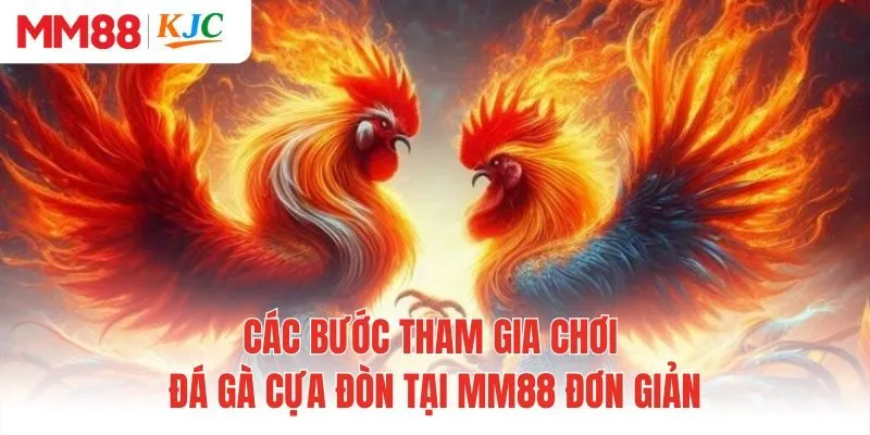 Các bước tham gia chơi đá gà cựa đòn tại MM88 đơn giản