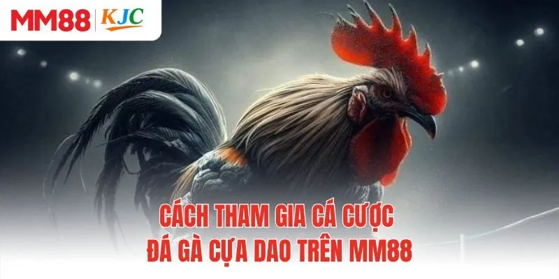 Cách tham gia cá cược đá gà cựa dao trên MM88