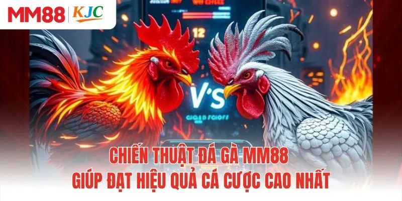 Chiến Thuật Đá Gà MM88 Giúp Đạt Hiệu Quả Cá Cược Cao Nhất