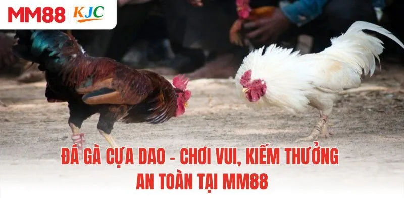 Đá Gà Cựa Dao - Chơi Vui, Kiếm Thưởng An Toàn Tại MM88