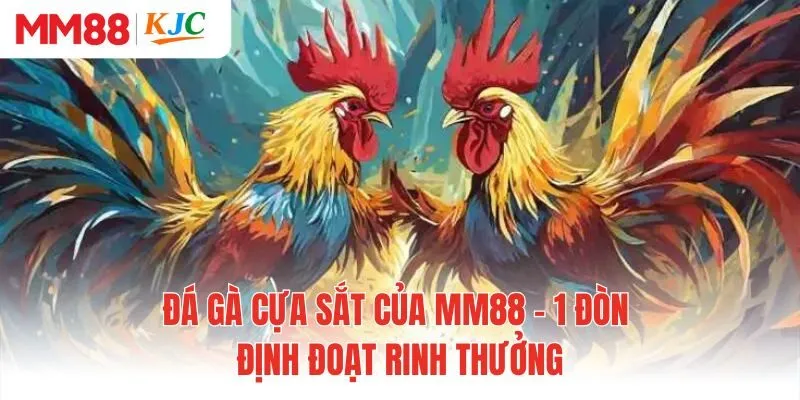 Đá Gà Cựa Sắt Của MM88 - 1 Đòn Định Đoạt Rinh Thưởng