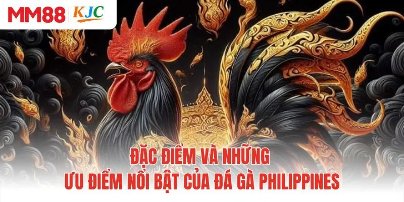 Đặc điểm và những ưu điểm nổi bật của đá gà Philippines