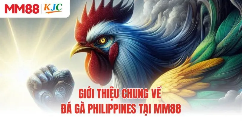 Giới thiệu chung về đá gà Philippines tại MM88