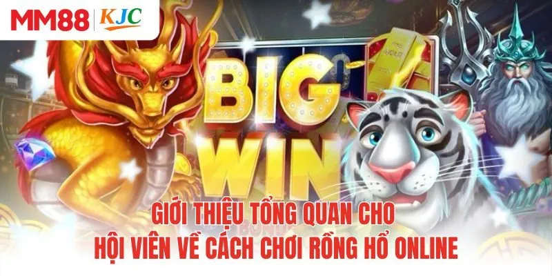 Giới thiệu tổng quan cho hội viên về cách chơi rồng hổ online