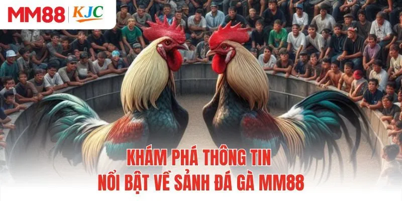 Khám phá thông tin nổi bật về sảnh đá gà MM88
