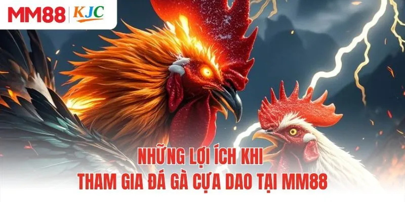 Những lợi ích khi tham gia đá gà cựa dao tại MM88